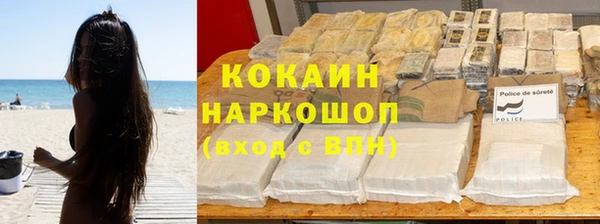 мдпв Богданович