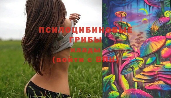 эйфоретик Кукмор