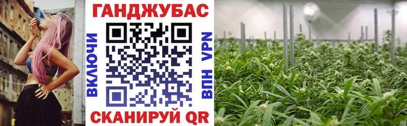 Бошки марихуана семена  Знаменск 